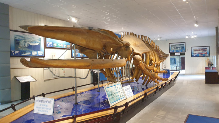 National Oceanographic Museum en Nha Trang