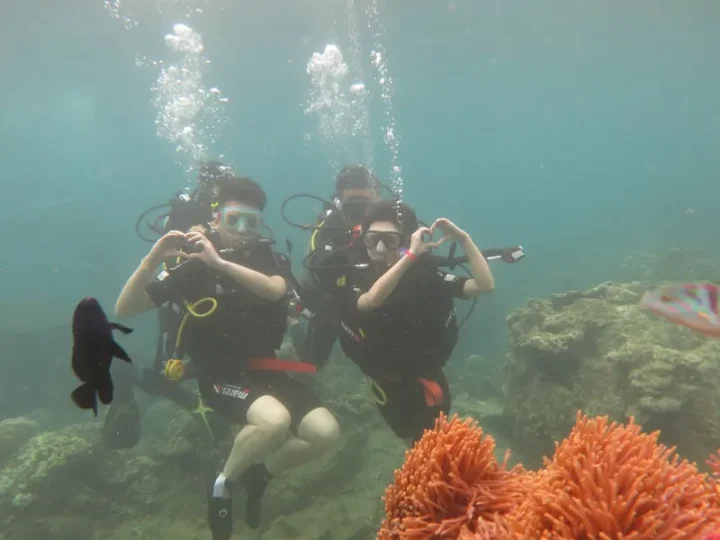 Buceadores en Nha Trang, tour de Klook