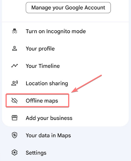 Paso 2: Tutorial descargar mapas offline en Google Maps