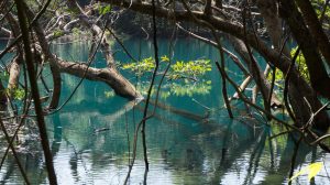 Khongleng lake (Blue Lagoon) - Thakhek loop