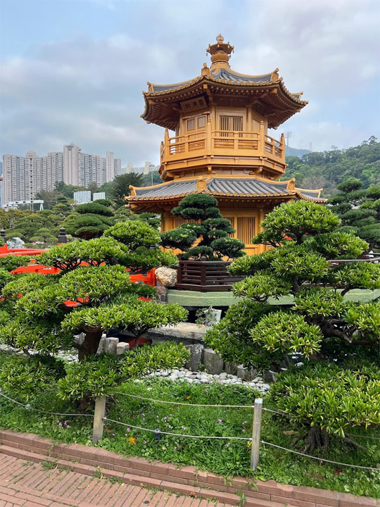 Foto del jardín de Nan Lian Garden