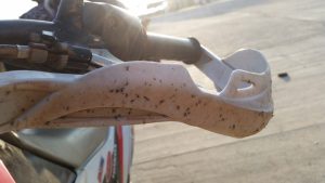 Mosquitos en la moto - Thakhep loop