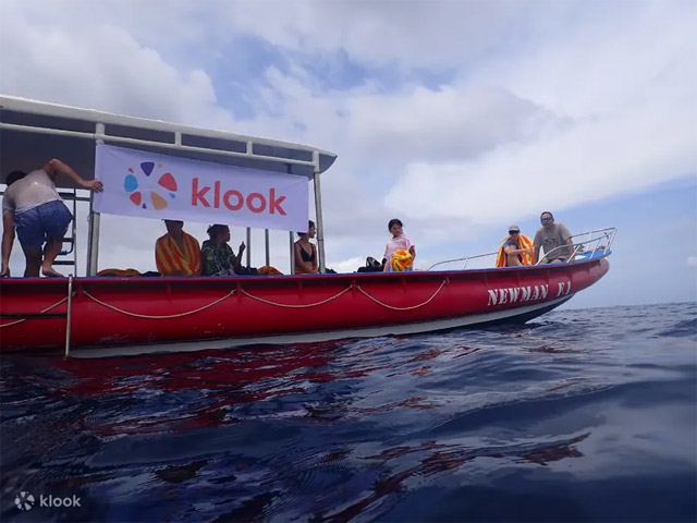 Tour snorkel manta rayas en Nusa Lembongan